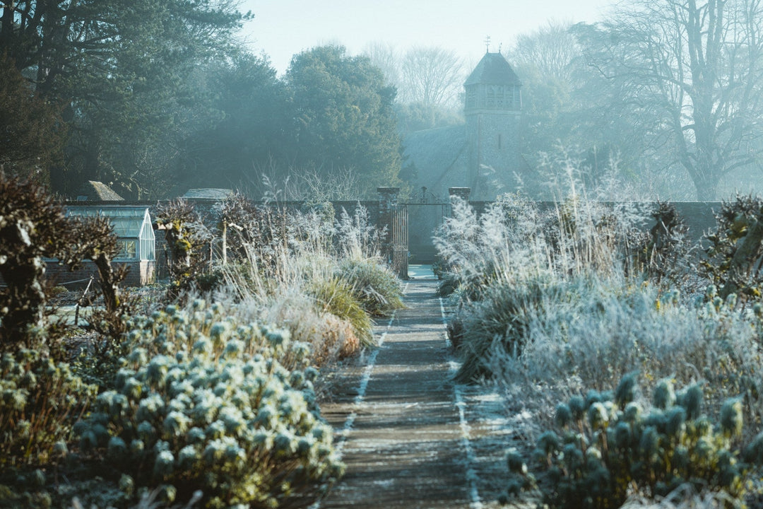 The Winter Garden