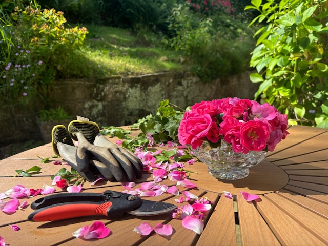 Pruning Your Roses