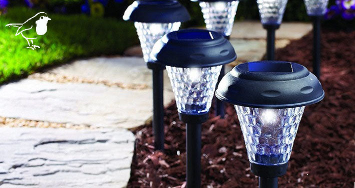 Solar Garden Lights