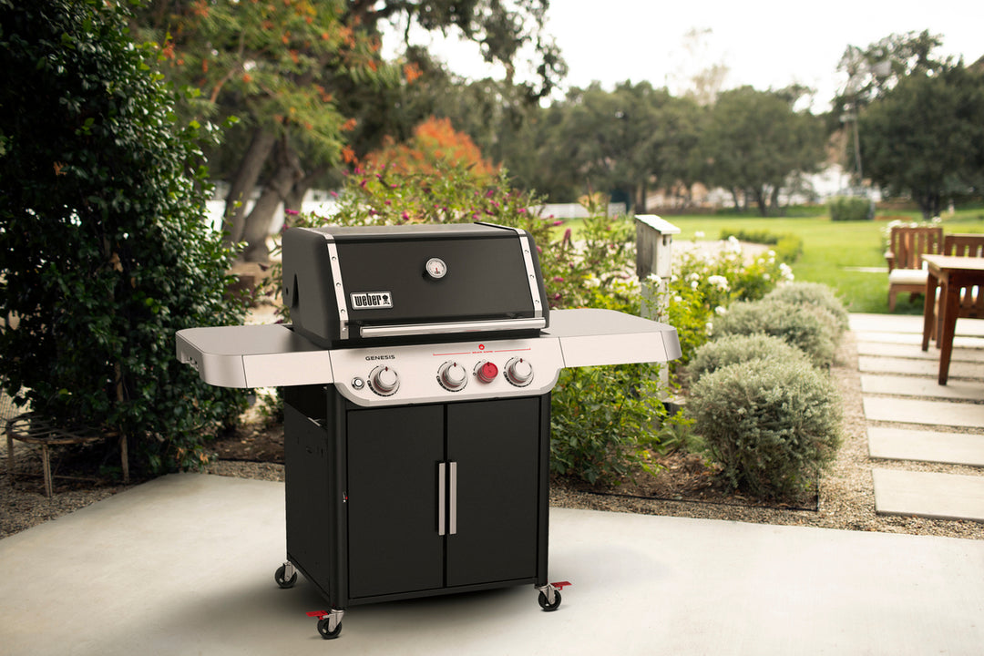 Weber Gas BBQ