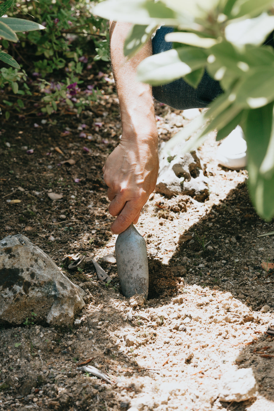 Gardening Courses