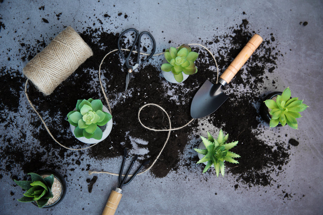 Small bags of compost