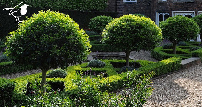 Standard Trees and Topiary