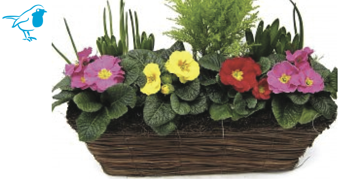 Spring Planters