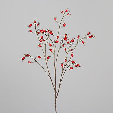 Rosehip Branch (100 cm red)