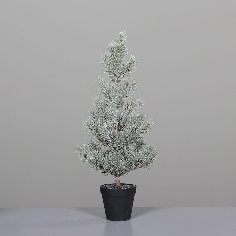 Pine tree iced in (black plastic pot 58 cm)