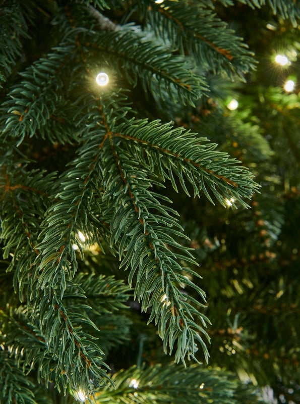 RIVINGTON FIR - 6.5ft Tree with 550 Warm White LED 5mm bulbs