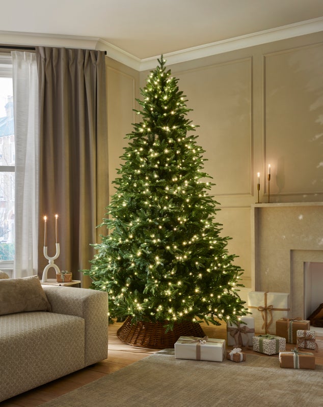 RIVINGTON FIR - 6.5ft Tree with 550 Warm White LED 5mm bulbs