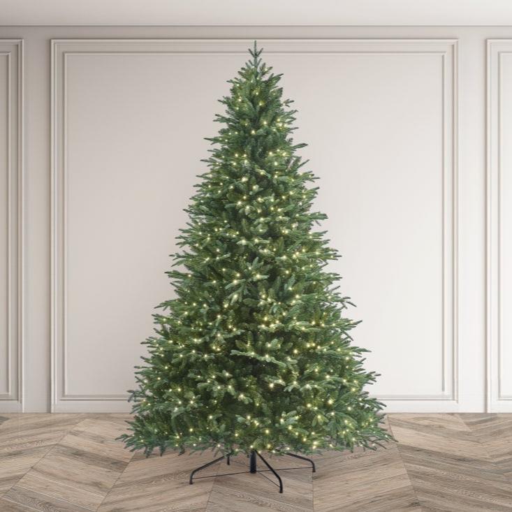 RIVINGTON FIR - 6.5ft Tree with 550 Warm White LED 5mm bulbs