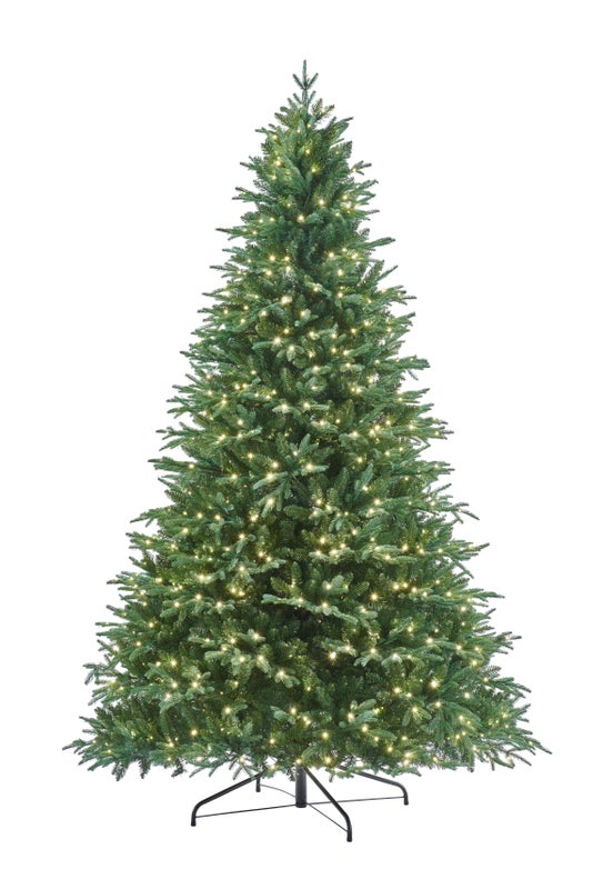 RIVINGTON FIR - 6.5ft Tree with 550 Warm White LED 5mm bulbs