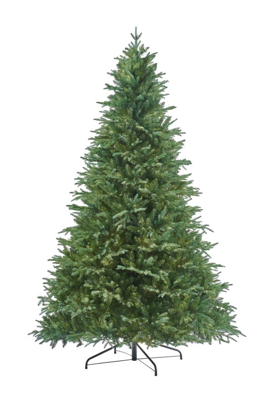 RIVINGTON FIR - 7.5ft Tree