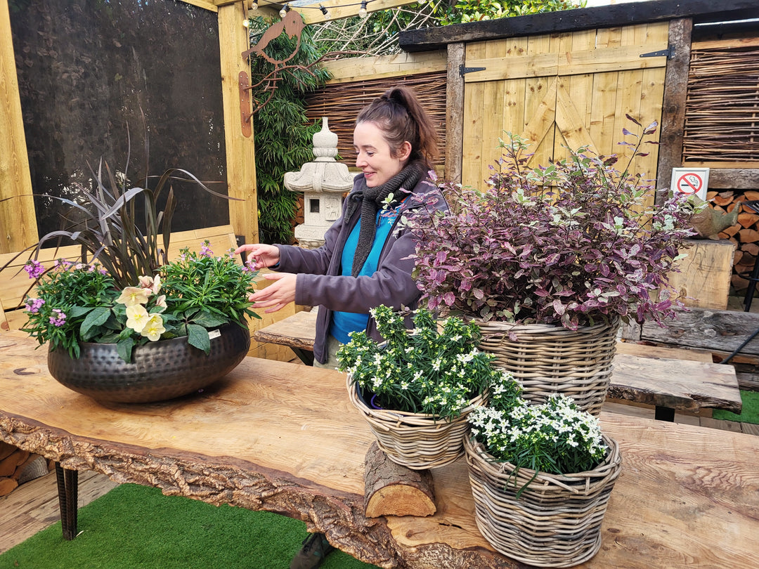 Windyridge Gardening for Beginners Sunday Morning 10:30am (6 Week Course starts 2nd March 2025)