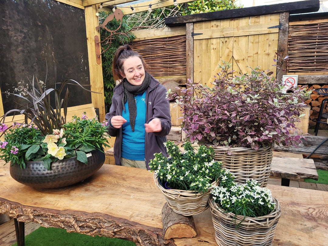 Windyridge Gardening for Beginners Tuesday Morning 10am (6 Week Course starts 4th March 2025)