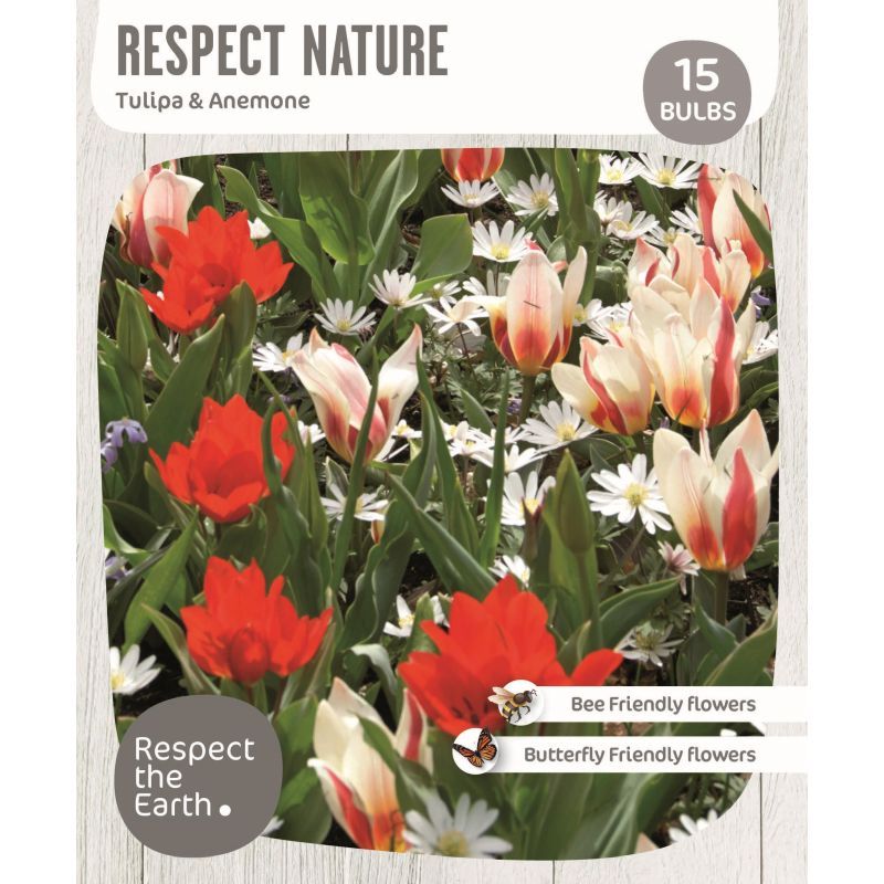 RESPECT  NATURE - FIRE 15 Bulbs