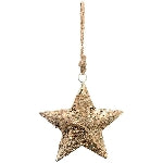 Star Hanger Dost, Metal, 14x3x14 cm