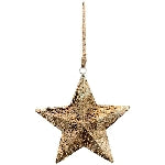 Star Hanger Dost, Metal, 20x4x20 cm