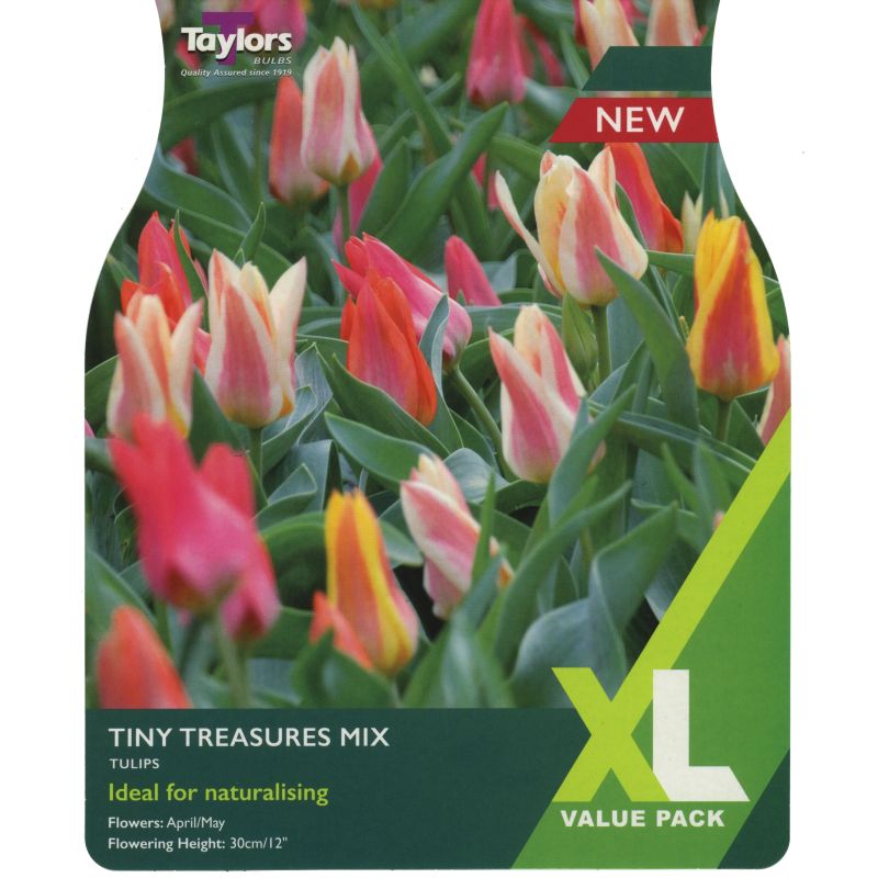 TULIP TINY TREASURES MIX x 18