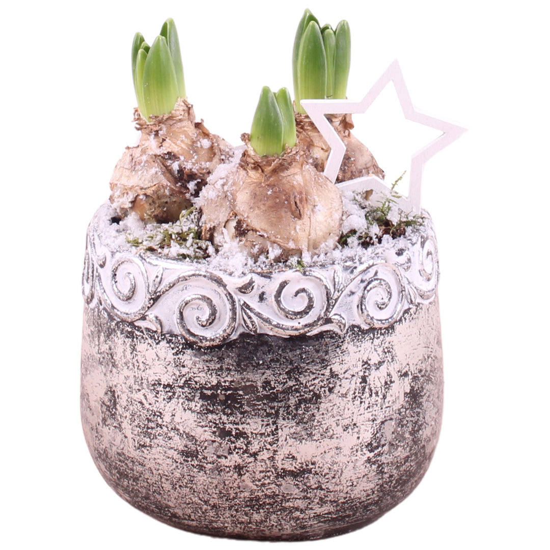 Arr. Hyacinth Ceramic Ornament Silver 14cm 1PP