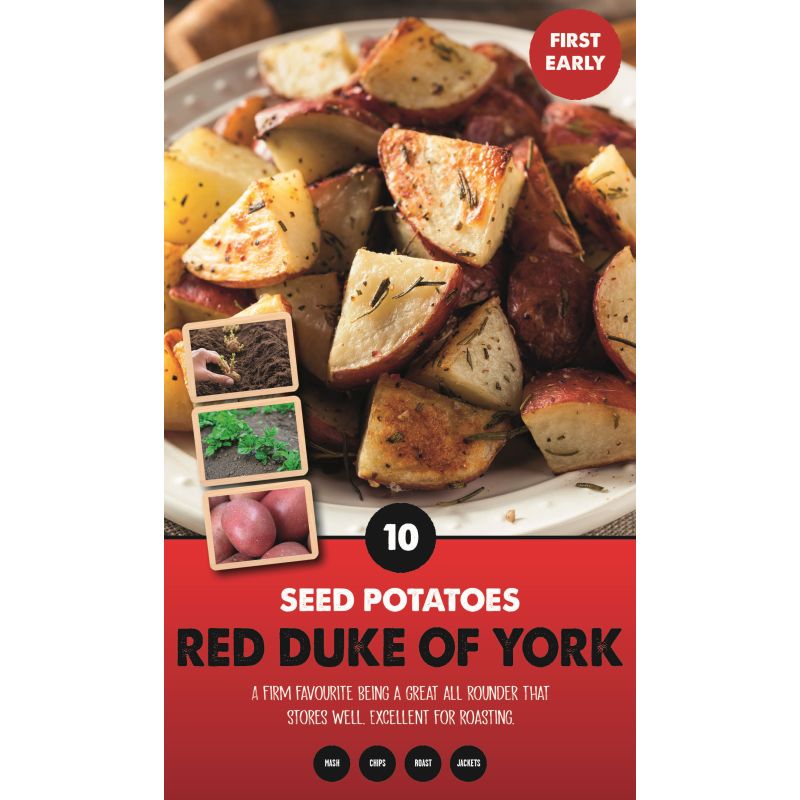 RED DUKE OF YORK SEED POTATOES