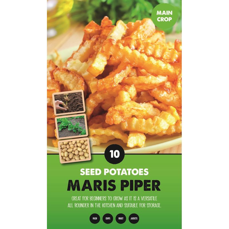 MARIS PIPER SEED POTATOS