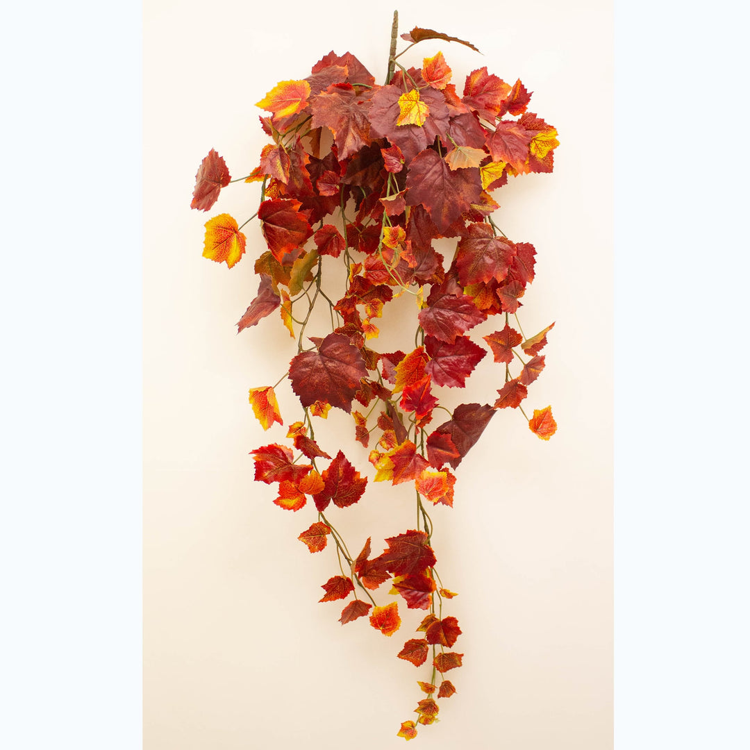 GRAPE IVY SMALL BUSH (ORANGE 82CM)