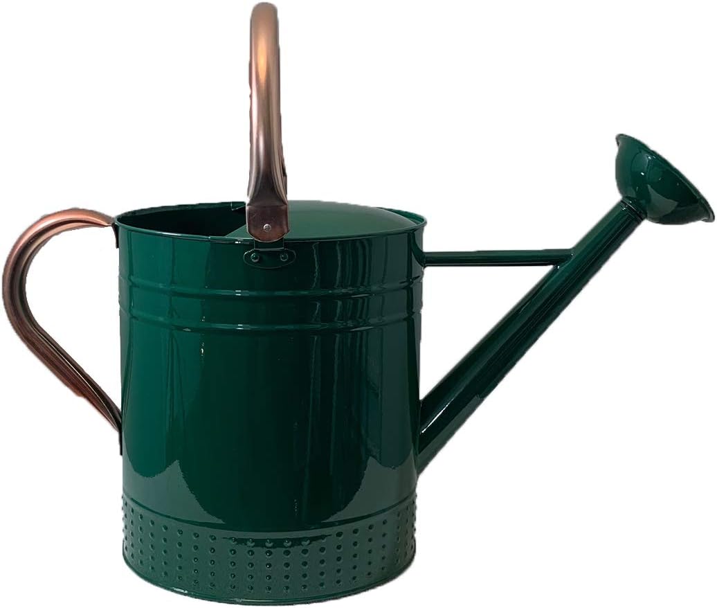 GREEN METAL WATERING CAN 9Ltr