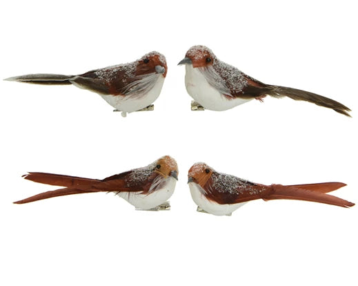 Bird foam frosted head on clip 4ass brown/colour(s) L.4.5cm x W.16cm x H.5.5cm