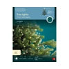 Micro LED tree bunch gb steady outdoor green/warm white L.210cm