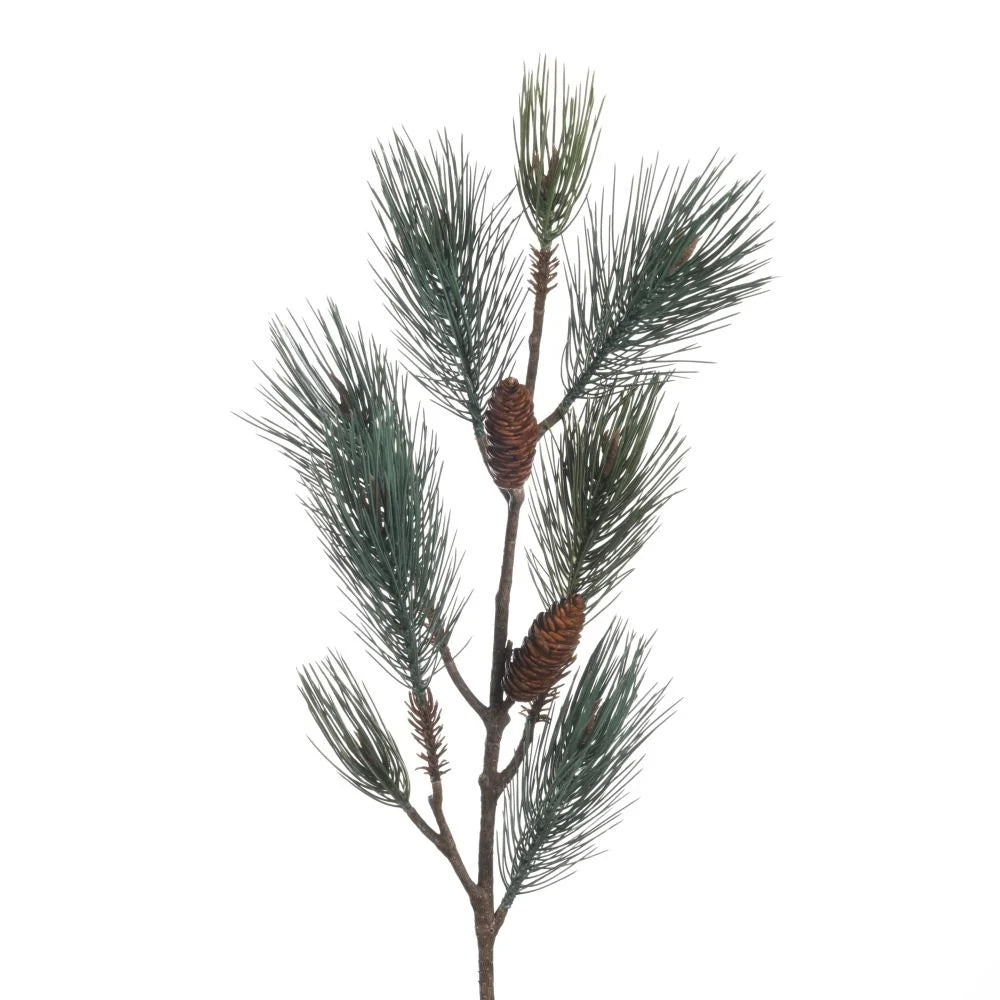 Pinus +Cones L129cm Green