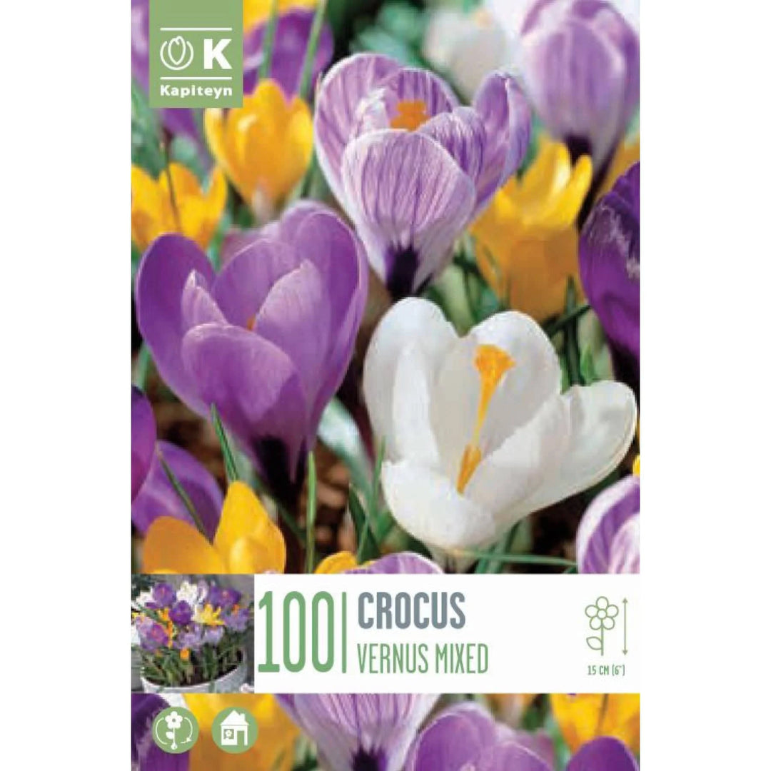 LANDSCAPE BAG CROCUS VERNUS MIX x 100