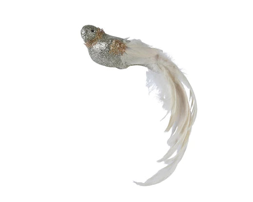 Bird foam glitter body long tail on clip gold L.45cm x W.6.5cm x H.9cm