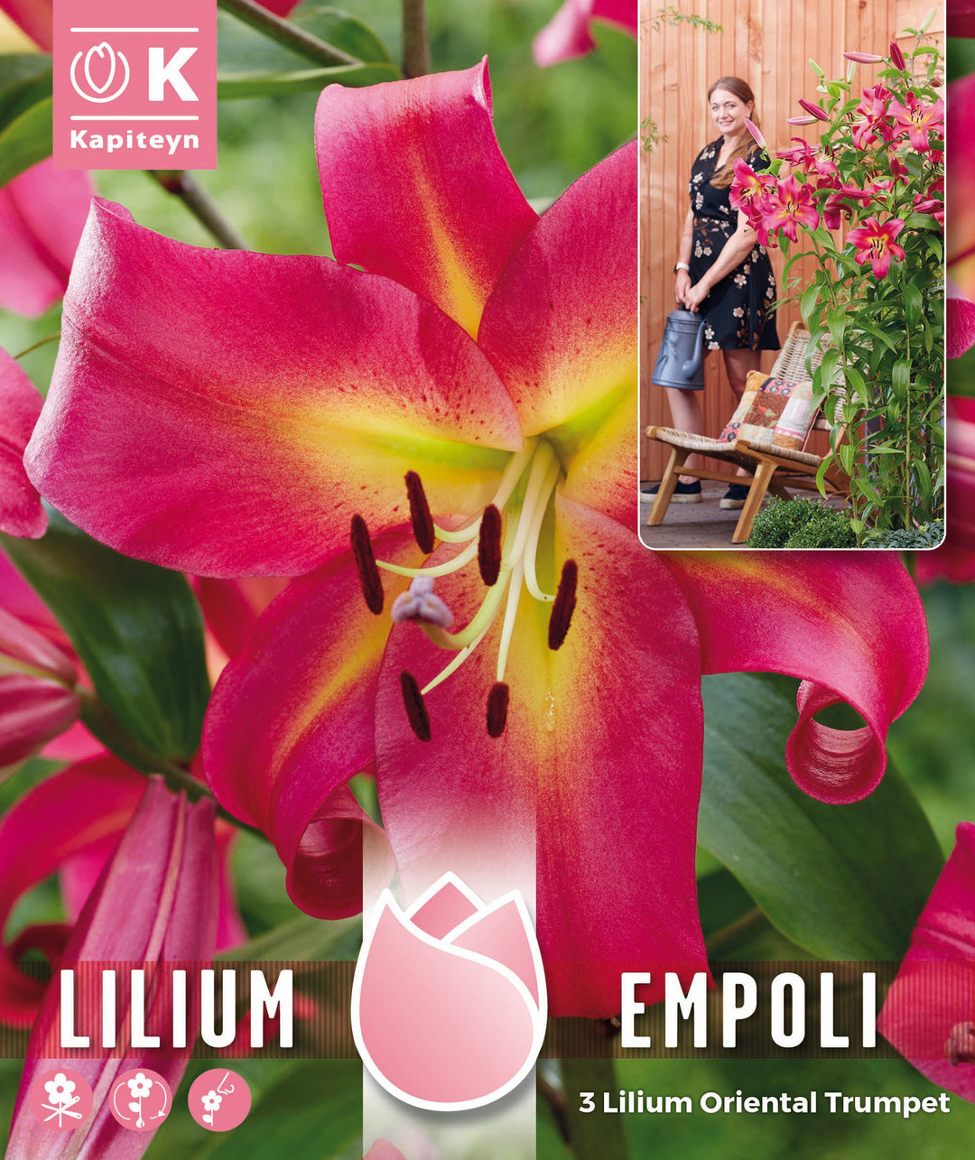 TREE LILIUM PACK EMPOLI x 3