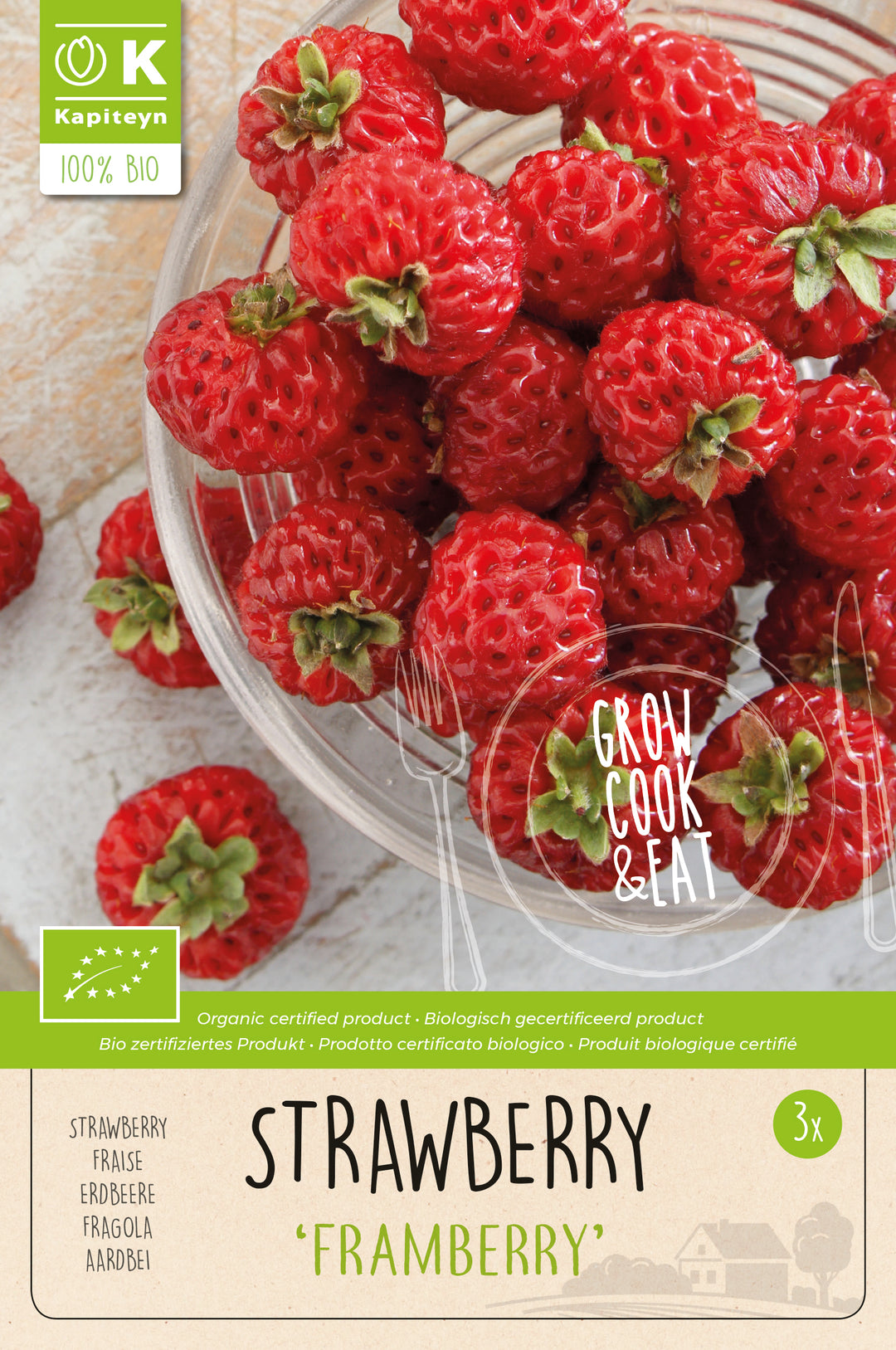 FRAGARIA FRAMBERRY  BIO x 3