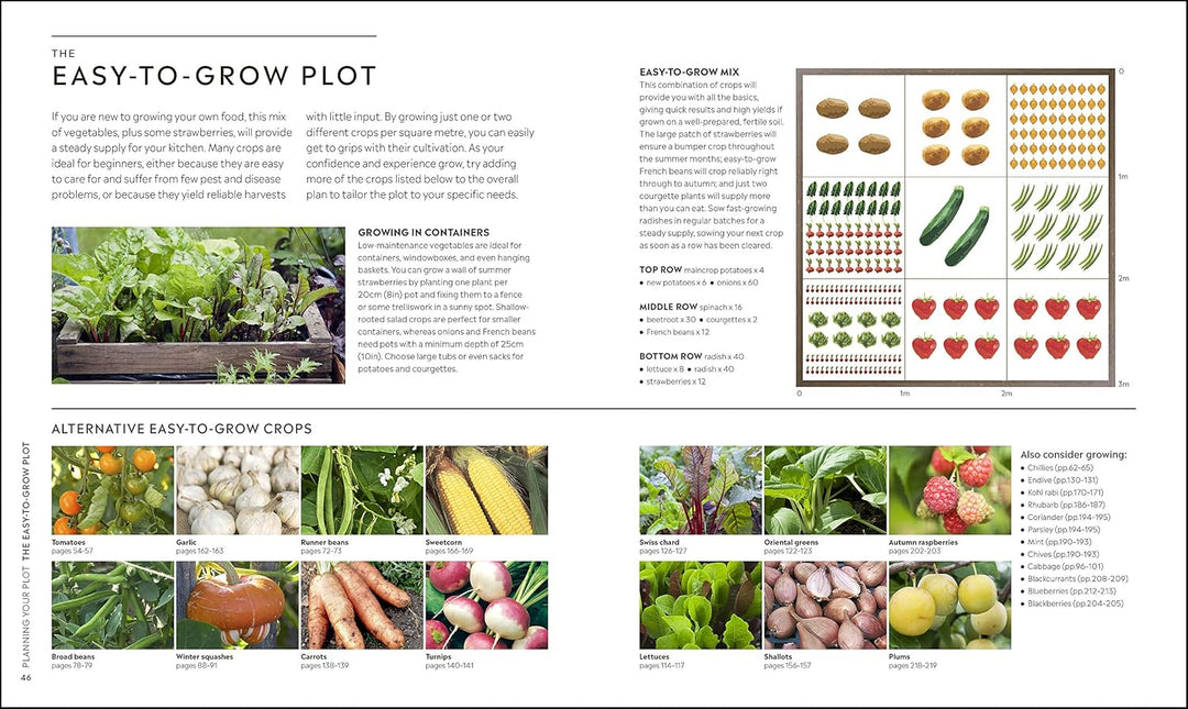 RHS Step by Step Veg Patch