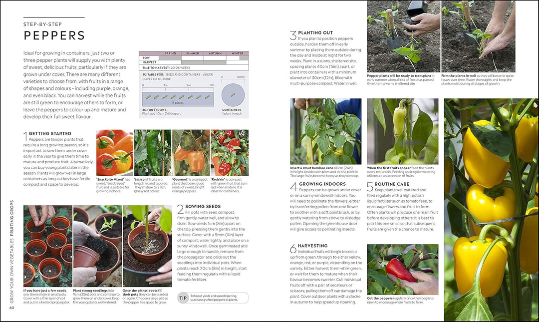 RHS Step by Step Veg Patch