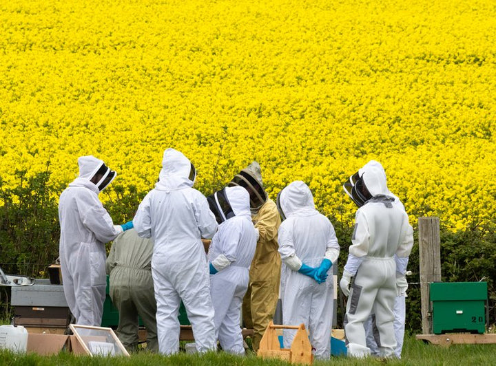 OpenHive x Windyridge Beekeeping Experience - Sat 31st Aug 2024