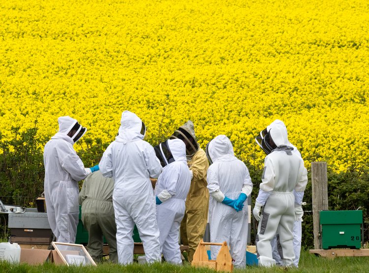 OpenHive x Windyridge Beekeeping Experience - Sat 28th Sep 2024