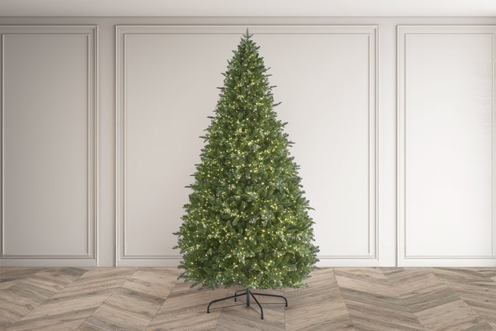 Eaton Fir- 12ft tree with 6500 Warm White LED 3mm Compact Bulbs