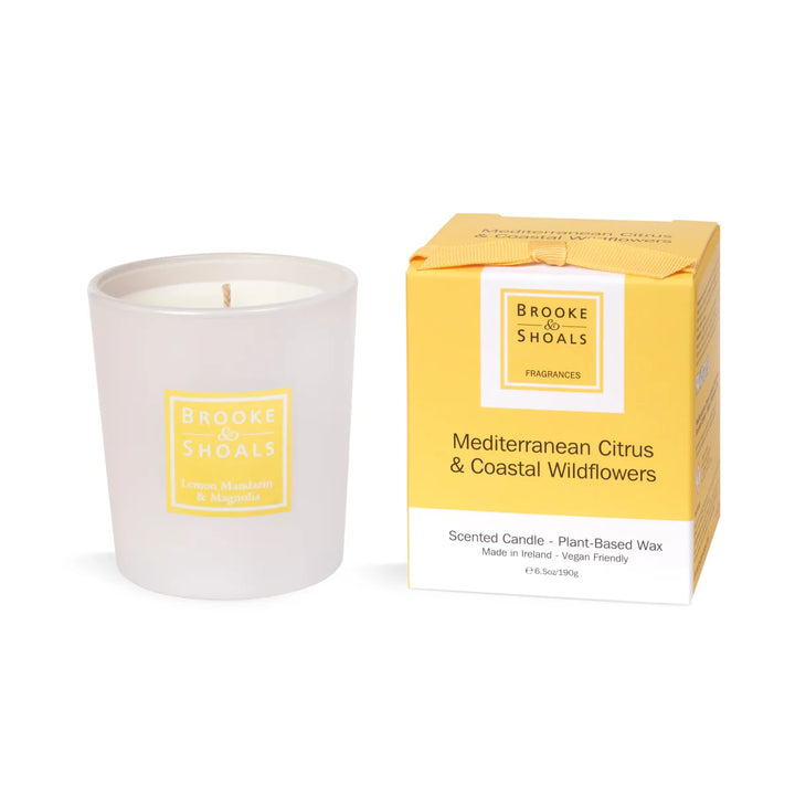 Mediterranean Citrus & Coastal Wildflowers Reg Candle