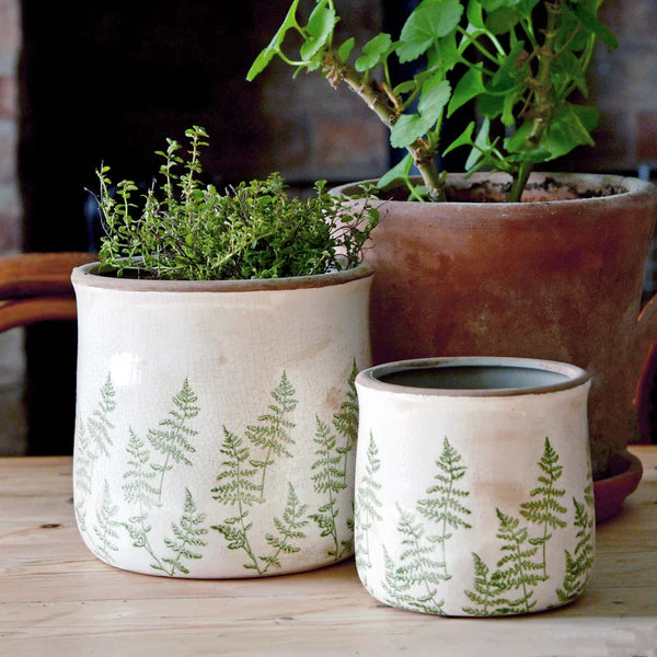 Fern Pot L Ø17cm x H16cm