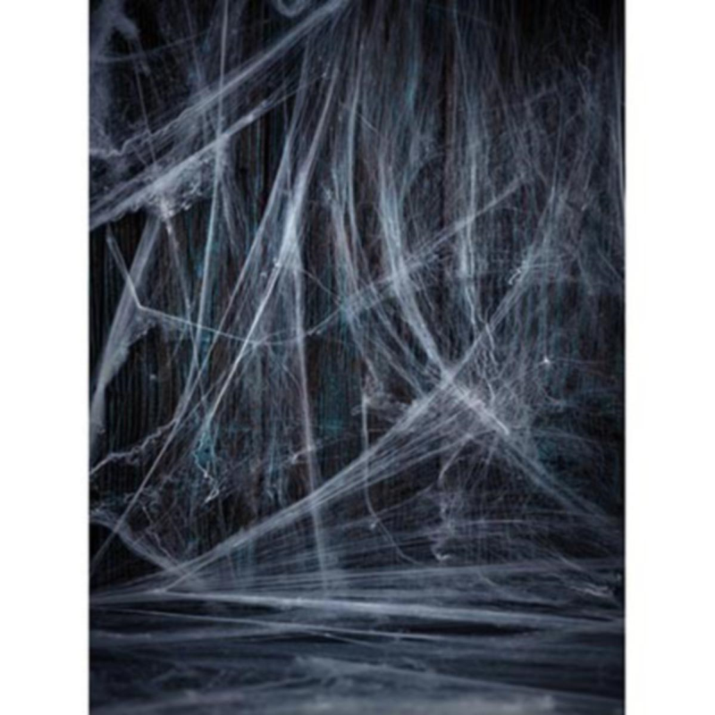 Backdrop Cobweb (2x1.5m)