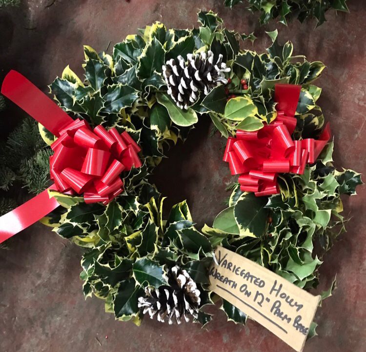 Variegated holly Wreath