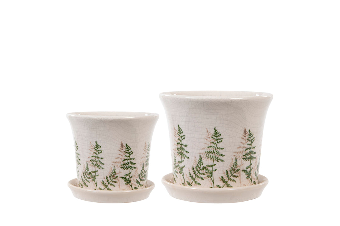 Pot with Tray Fern S Ø16cm x H14cm