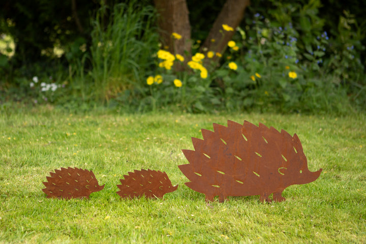 Hedgehog Family