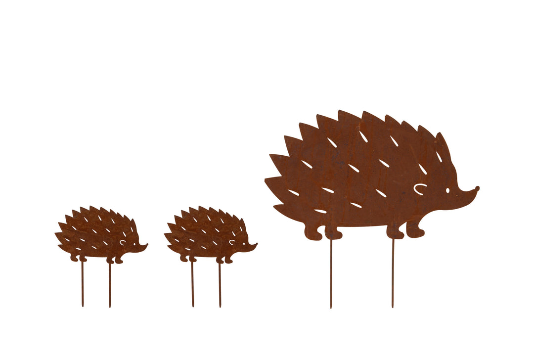 Hedgehog Family