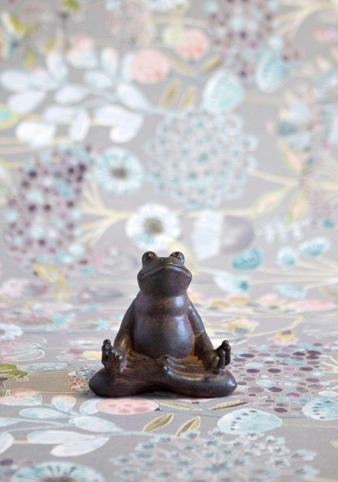 Zen Frog