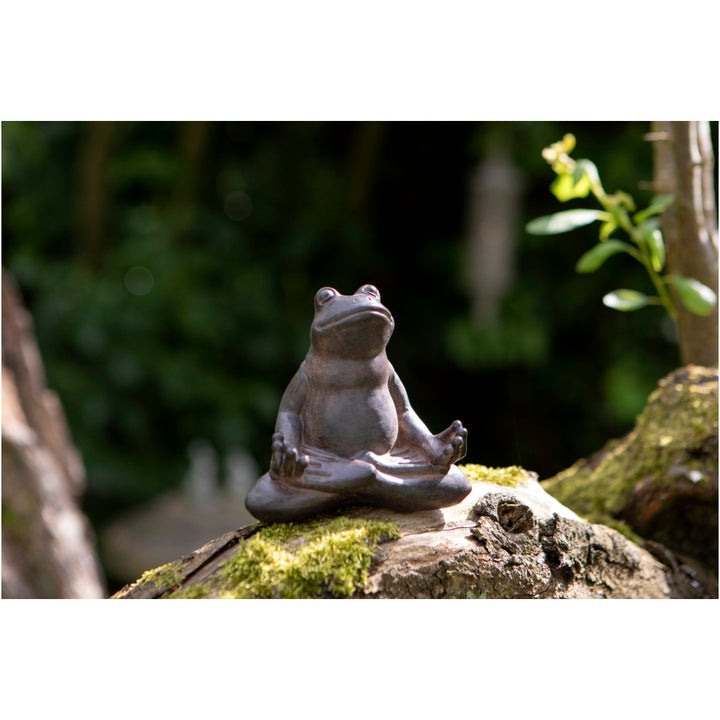 Zen Frog