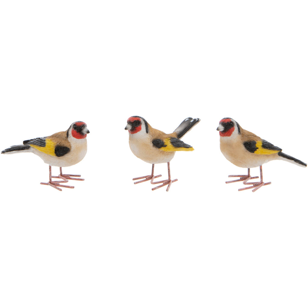 Goldfinch