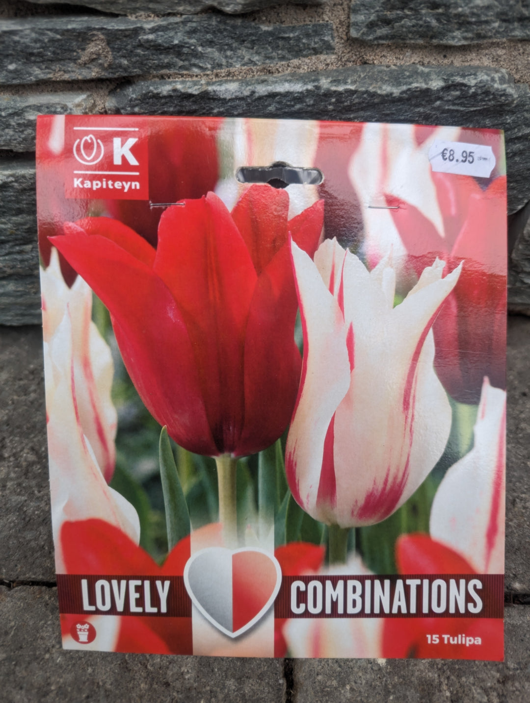 COMBI TULIPA RED & WHITE x15