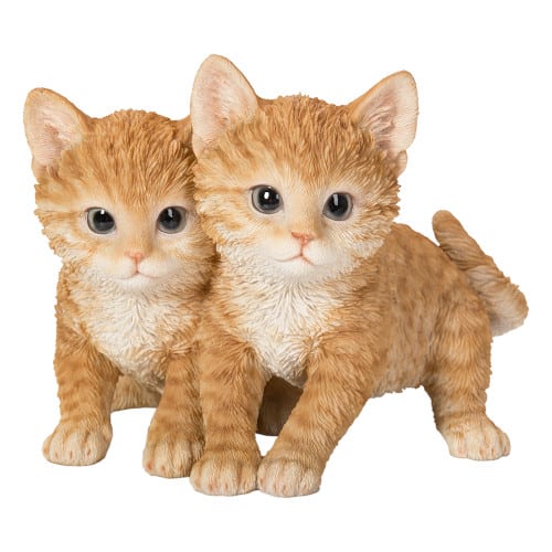 Playful Ginger Kittens D